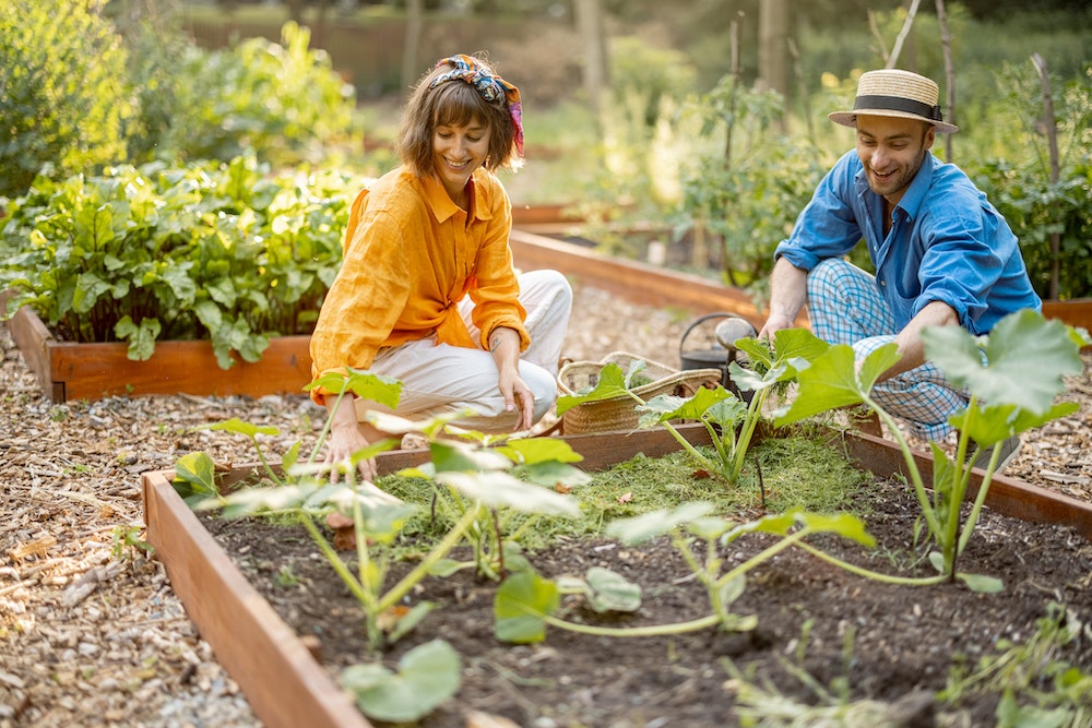 L'immobilier vert: l'entretien du jardin est essentiel pour vendre