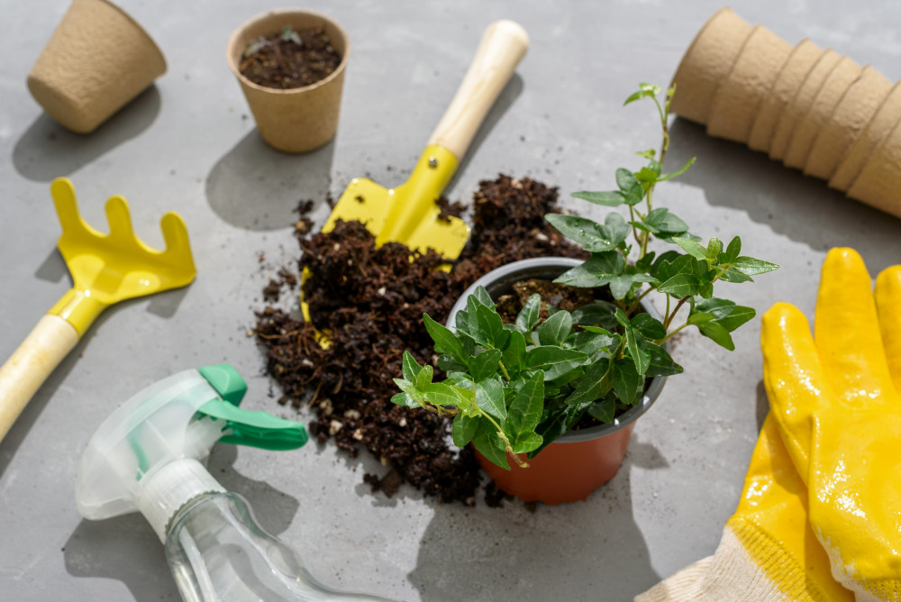 JardIn: Entretien saisonnier, les clés pour un jardin épanoui tout au long de l'année